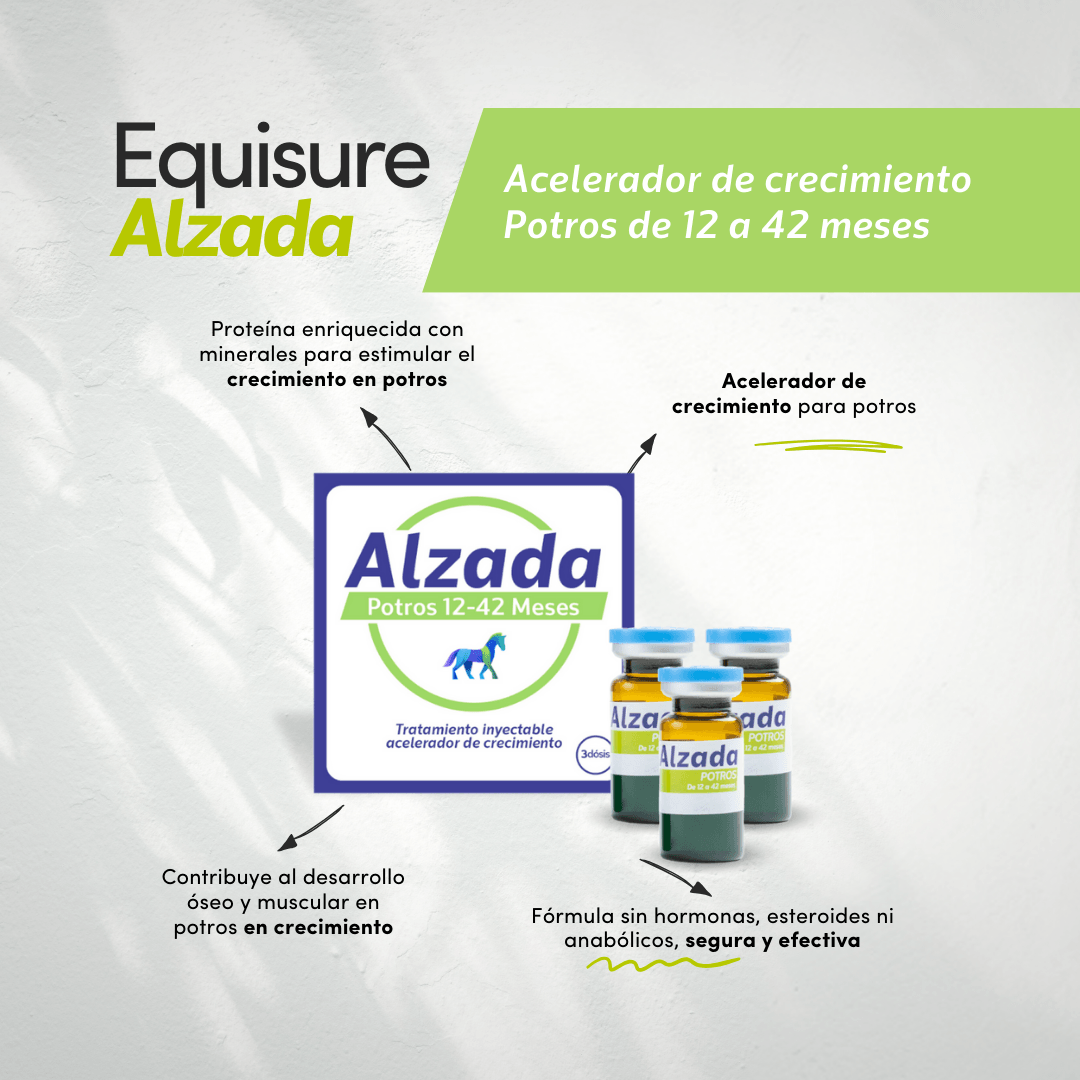 ALZADA