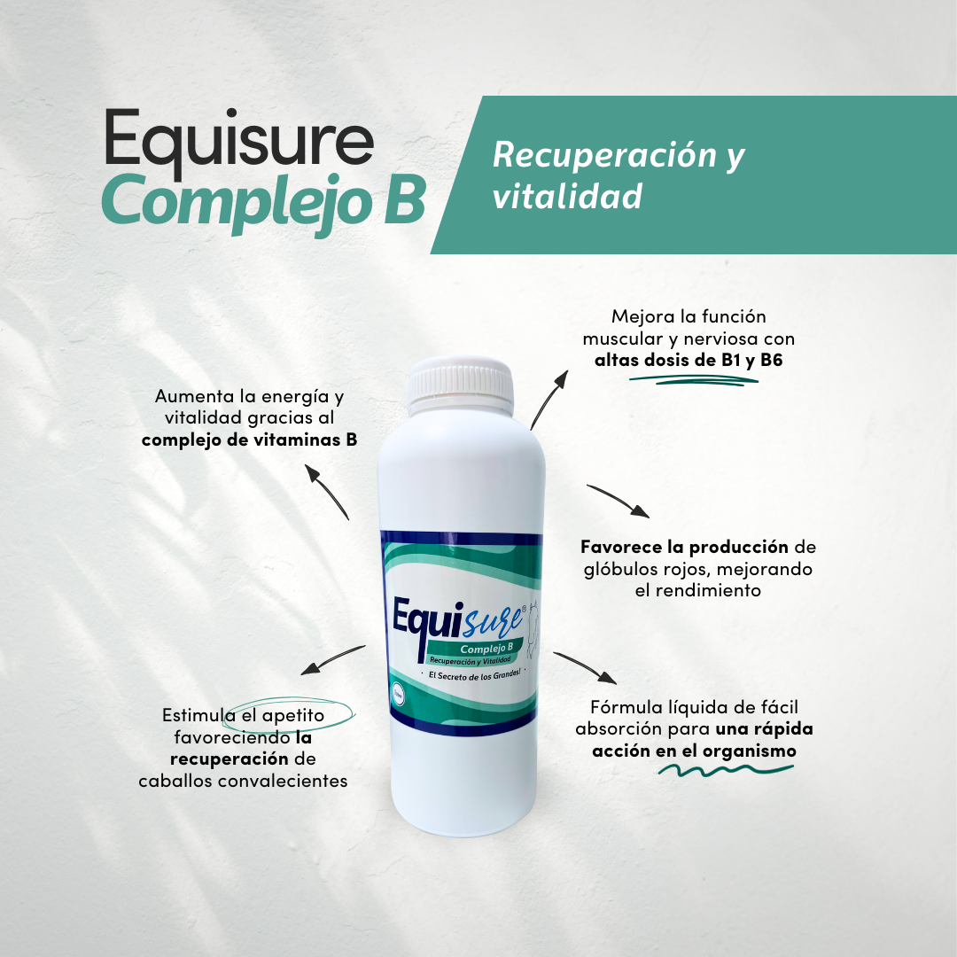 EQUISURE COMPLEJO B