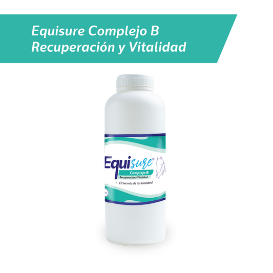 EQUISURE COMPLEJO B