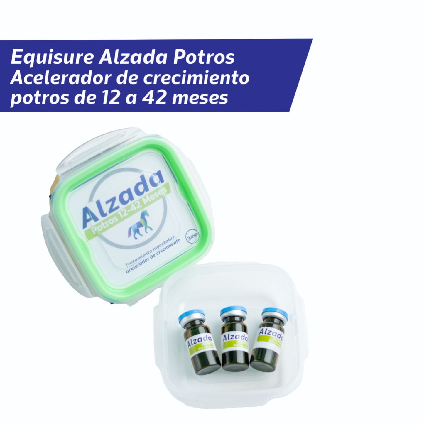 ALZADA