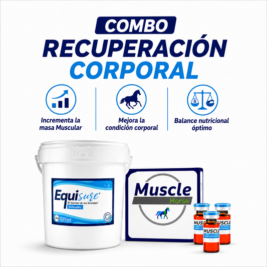 COMBO Equisure Recuperación Corporal
